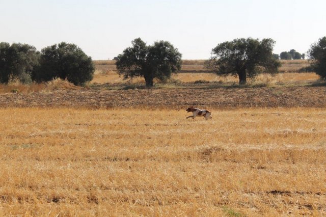 Αγωνες Α.Κ.Ι 11/6/2017